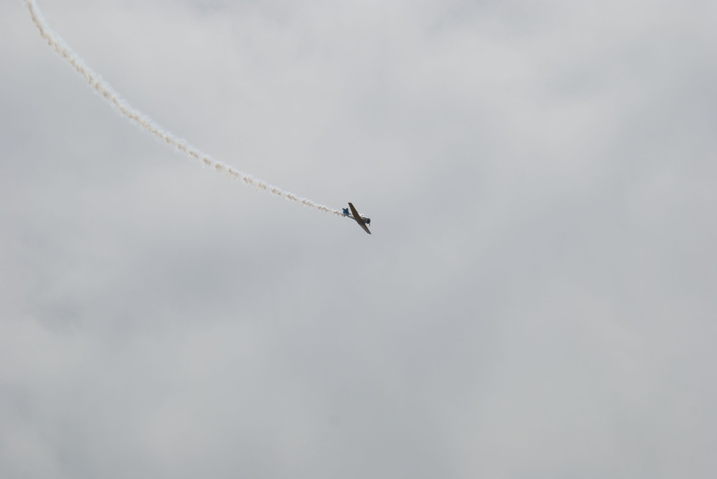 DSC_3004.jpg